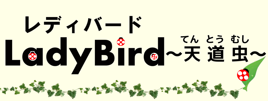 LadyBird｜オーラから作るパワーストーンとスピリチュアルカウンセリングのお店